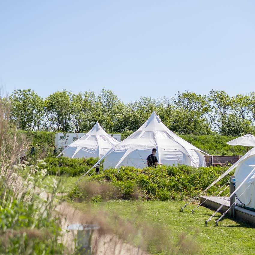 Glamping hos Marsk Camp Glamping hos Marsk Camp