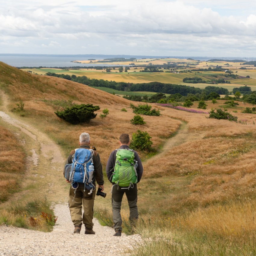 Guidet vandretur i Mols Bjerge med Aros Adventure