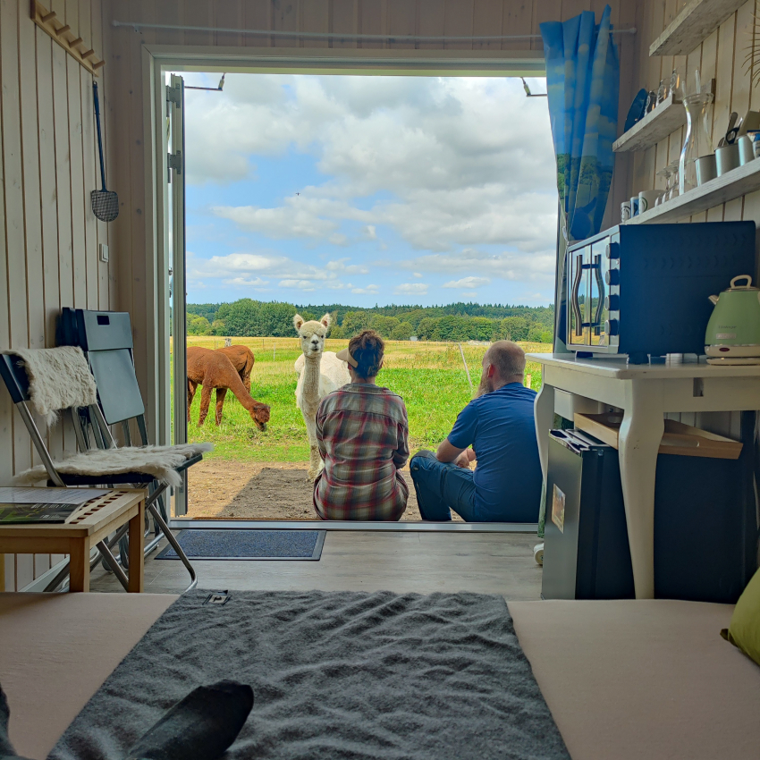 Overnatning i AlpacaHome Overnatning i AlpacaHome