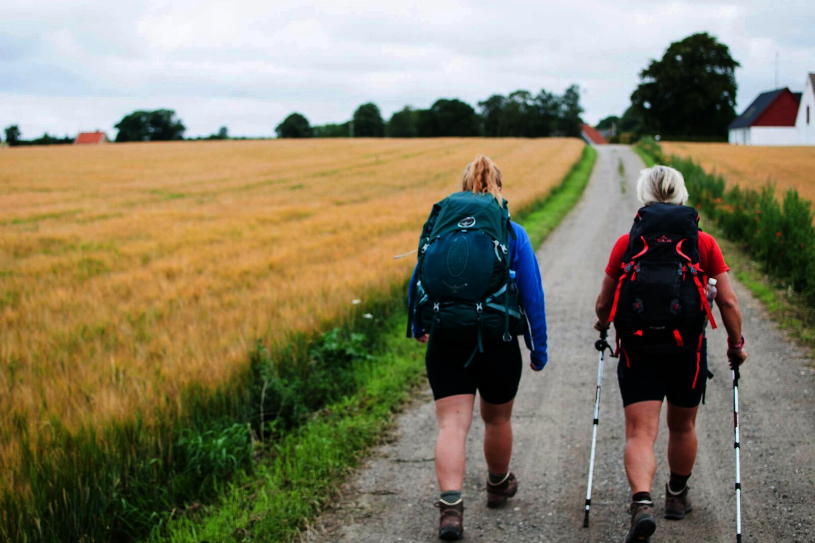 Go Dream OPHOLD & VANDRETUR PÅ MØN- Oplevelsesgaver STAY