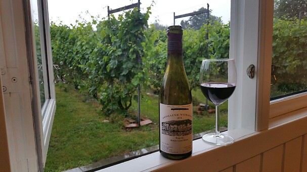 Go Dream VINSMAGNING FOR 4 PÅ NYBALLE VINGÅRD- Oplevelsesgaver GASTRONOMY Go Dream VINSMAGNING FOR 4 PÅ NYBALLE VINGÅRD- Oplevelsesgaver GASTRONOMY
