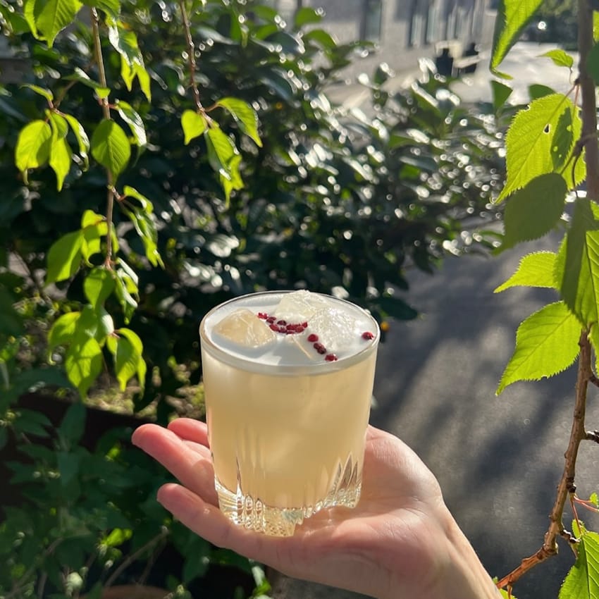 Cocktails & Gyoza hos Shima